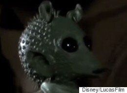 새로 발견한 물고기에 스타워즈 캐릭터 이름을 붙이다(동영상)