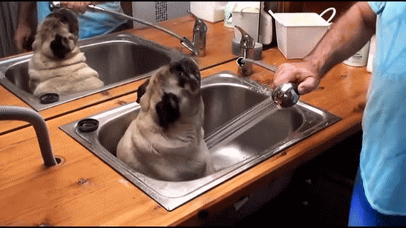 지금 당장 행복해지는 방법 34