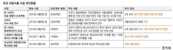 쏘나타 4만대 수출효과? 한-사우디 의료협력 '2년 헛바퀴'