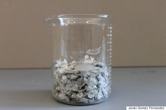 생선 껍질에서 미세플라스틱이 발견되다