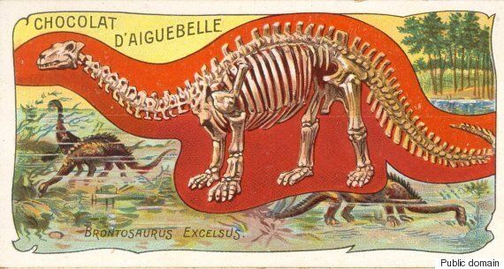 브론토사우루스가 1세기 만에 이름을 되찾았다