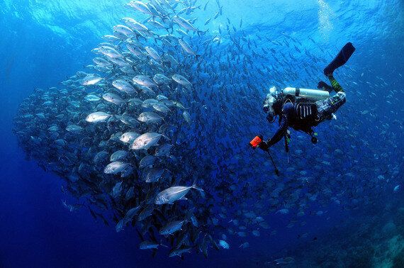 취미로 인생을 바꾼 아홉명의 남자