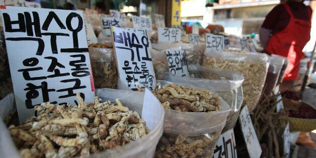 가짜 백수오라는 이엽우피소는 정말 독성이 있나