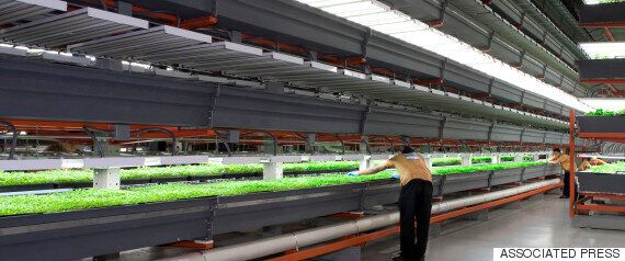 지구에 대변혁을 가져올 녹색기술 10