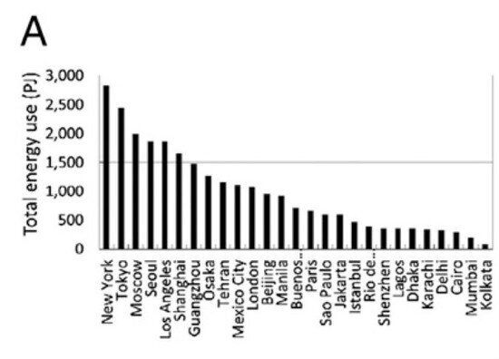 뉴욕은 왜 '최악의 메가시티'인가