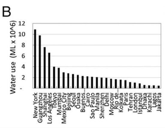 뉴욕은 왜 '최악의 메가시티'인가