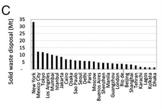 뉴욕은 왜 '최악의 메가시티'인가