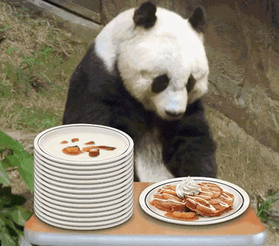 식단 조절이나 운동 없이 살 빼는 법 17