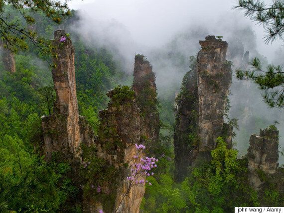 '아바타 촬영지'로 불리는 장가계에 생기는 세계 최장 공중 유리다리(사진)
