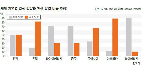 왜 한국에서는 흰색 달걀이 사라지고 갈색 달걀이 지배하는가?