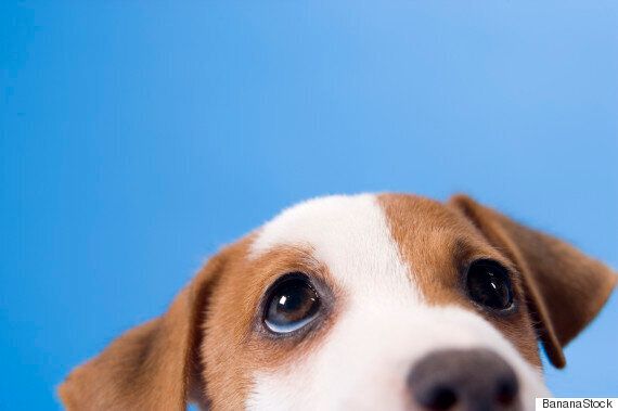 스트레스를 똑똑하게 해소하는 과학적인 방법 5가지