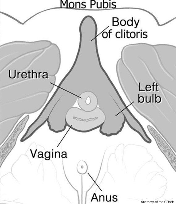 [허핑턴포스트 클리토리스 프로젝트] 2. 사라진 클리토리스