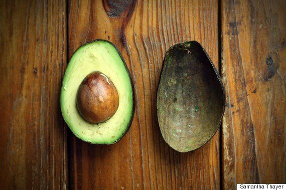 고양이에게 절대 주면 안되는 사람 음식 6가지