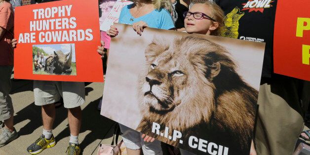 Protestors gather outside Dr. Walter James Palmer's dental office in Bloomington, Minn., Wednesday, July 29, 2015. Palmer reportedly paid $50,000 to track and kill Cecil, a black-maned lion, just outside Hwange National Park in Zimbabwe. (AP Photo/Ann Heisenfelt)