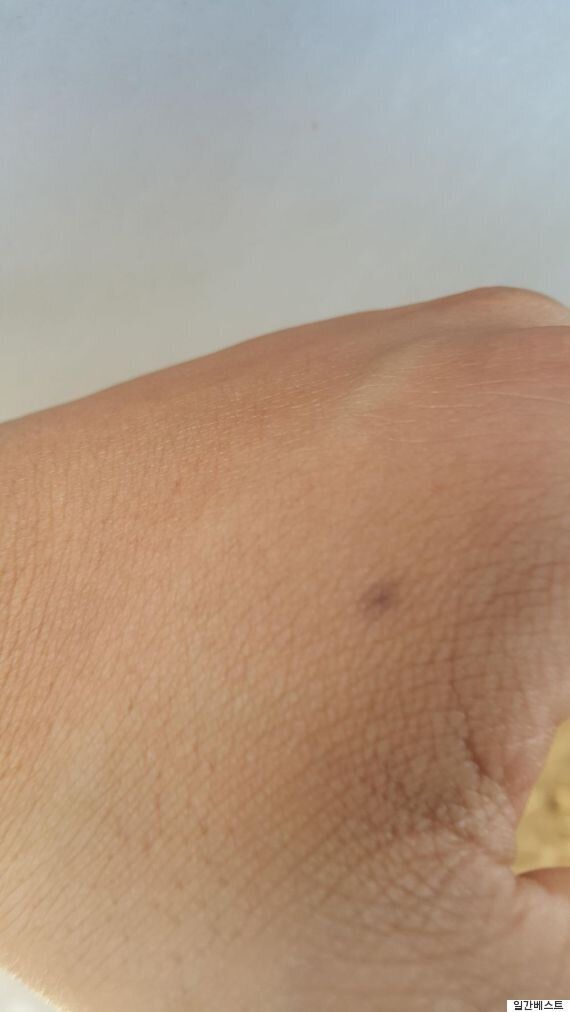 BHC 치킨 '일베 인증' 사과 추정 글 등장