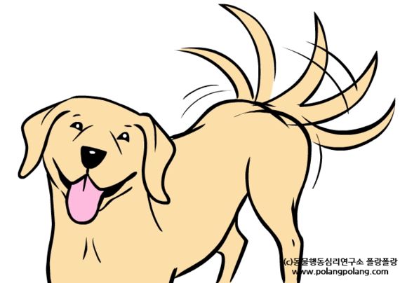 반려견의 바디랭귀지에 대한 잘못된 상식