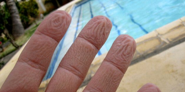 쪼글쪼글한 손가락은 물에 불은 게 아니다(과학)