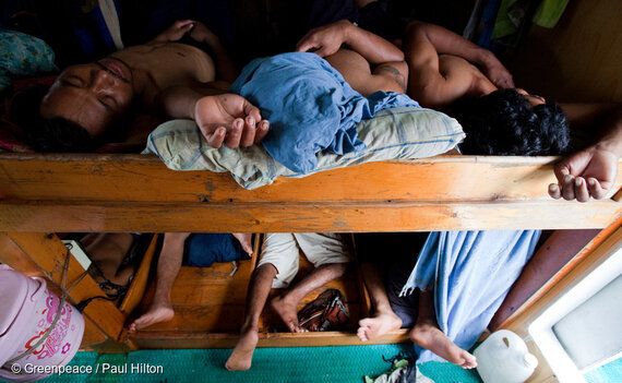 방향키를 잃고 통제불능에 빠진 태평양 참치어업