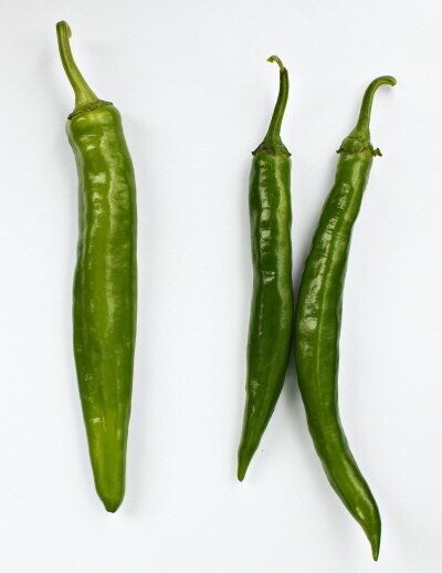 고추는 다들 안 하려고 해요