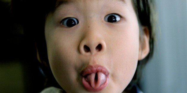 교과서가 틀렸다 '혀 말기는 순수 유전이 아니다'