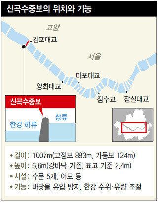 토종 돌고래 '상괭이'가 '한강'에서 죽은 채 발견된 미스터리