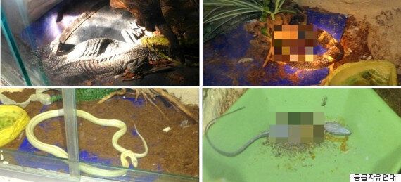 폐업 동물원에서 동물들이 죽어나가고 있다