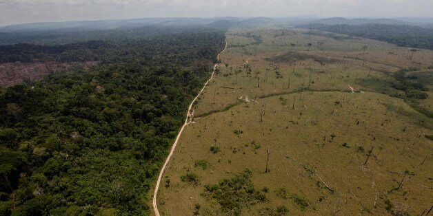 FILE - In this Sept. 15, 2009 file photo, a deforested area is seen near Novo Progresso, in Brazil's northern state of Para. The Brazilian Amazon is arguably the world's biggest natural defense against global warming, acting as a