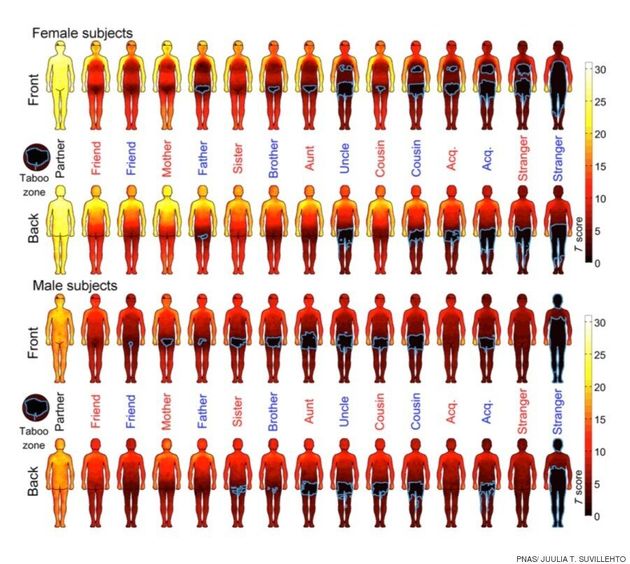 남의 손이 닿아도 괜찮은 부위와 불쾌한 부위를 보여주는 국가별 신체 지도