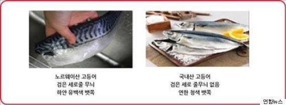 전복·광어·전어 등 국산 어종 자연산 구분법(사진)