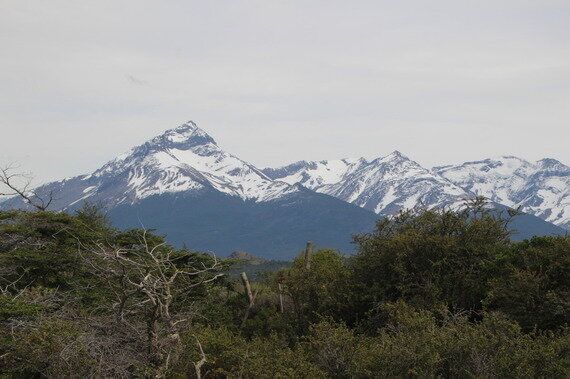[공짜 영어 스쿨] 영어공부의 시작, 영영사전
