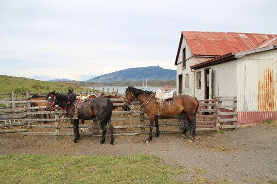 [공짜 영어 스쿨] 영어공부의 시작, 영영사전