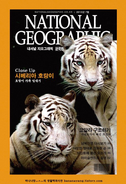 당신을 교양인으로 만들어주는 11가지 잡지