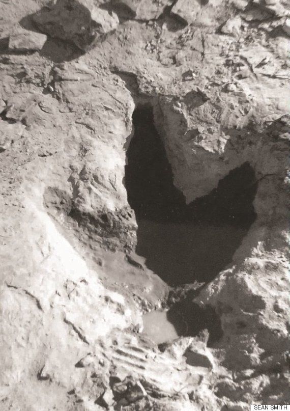 당신은 티라노사우루스의 추격을 따돌릴 수 있을까?