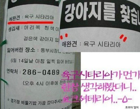 다시 보는 맞춤법, '육구 시타리아'의 전설 외 7개