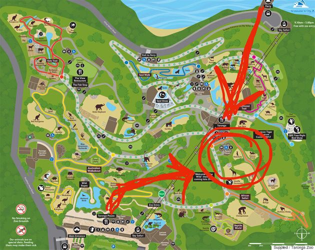 이 세상의 동물이라고 생각할 수 없을 만큼 귀여운 미어캣 새끼가 태어났다(화보, 동영상)