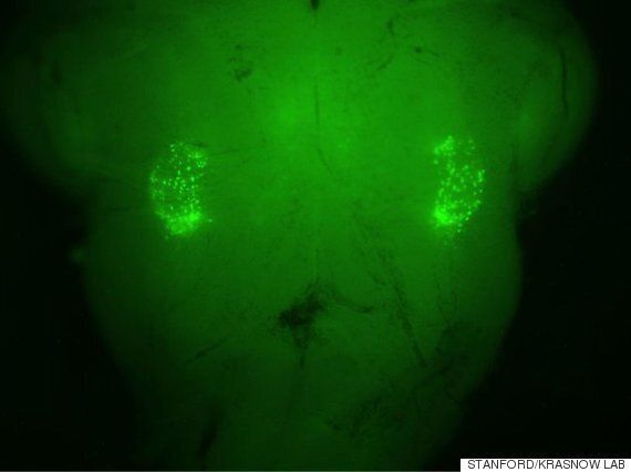 당신이 당신도 모르게 5분마다 한숨을 쉬는 이유