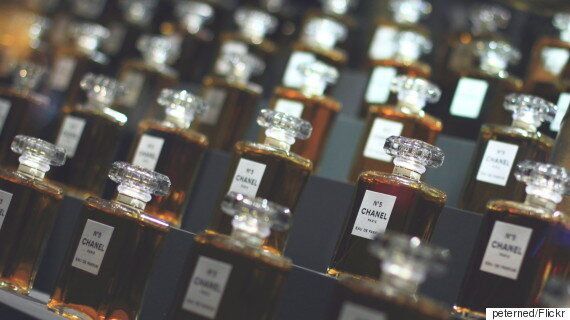 사향을 어디서 얻는지 당신은 알고 싶지 않을 거다