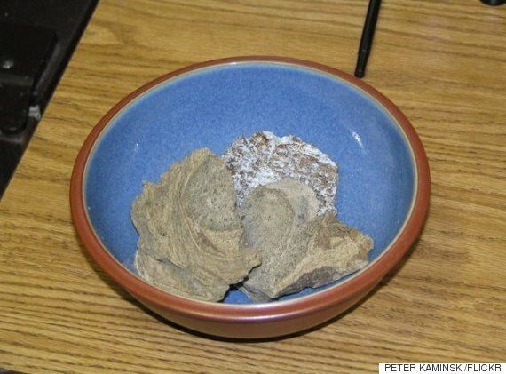 사향을 어디서 얻는지 당신은 알고 싶지 않을 거다