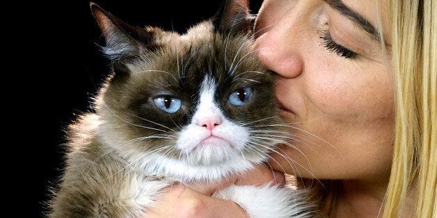 This Dec. 1, 2015 photo shows Grumpy Cat with her owner Tabitha Bundesen during an interview at the Associated Press in Los Angeles. Animals can melt the human heart, tickle the funny bone or bring us to tears. All you have to do is follow, like or pin them. There is no end to the number of online animals - from YouTube to www.explore.org and all the social media sites in between. Nobody was busier than Grumpy Cat in 2015. (AP Photo/Richard Vogel)