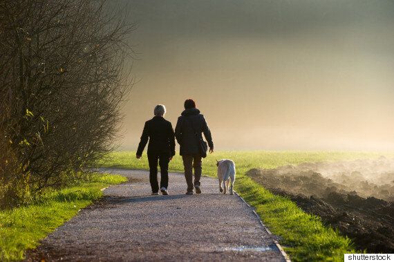 20대부터 60대 이상까지, 각 나이대 별로 적합한 최고의 운동(동영상)