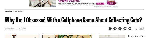 전 세계가 '고양이 수집' 게임에 폭 빠지게 된 이유(영상)