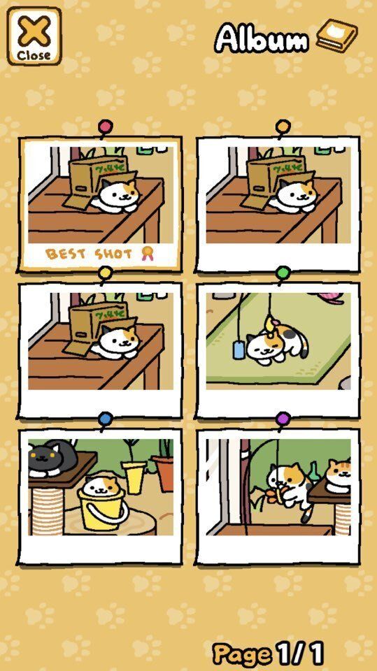 전 세계가 '고양이 수집' 게임에 폭 빠지게 된 이유(영상)