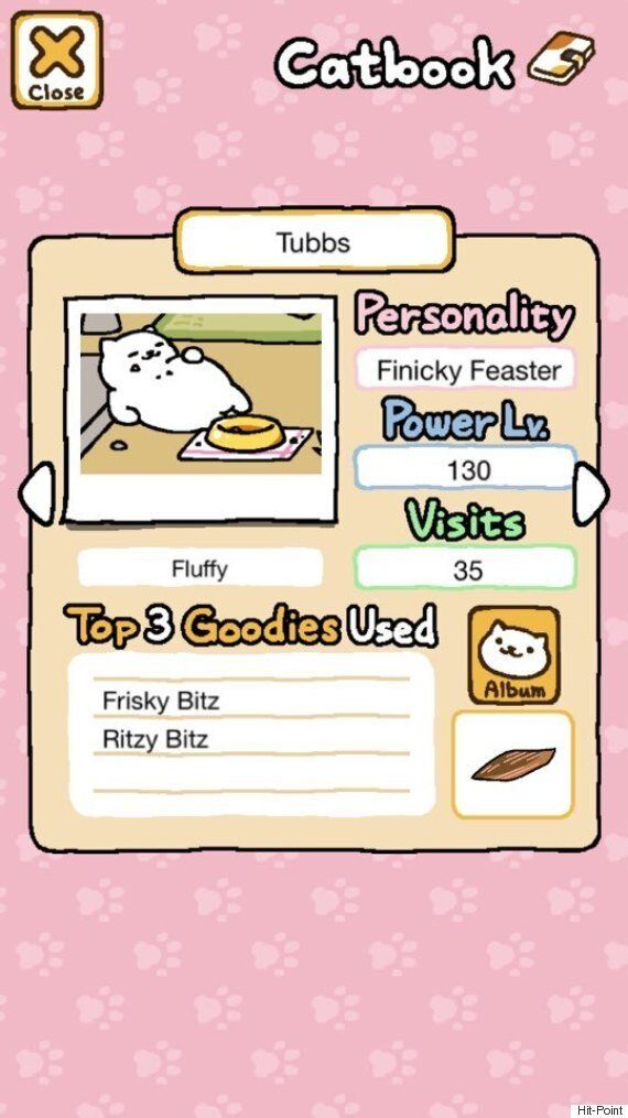 전 세계가 '고양이 수집' 게임에 폭 빠지게 된 이유(영상)