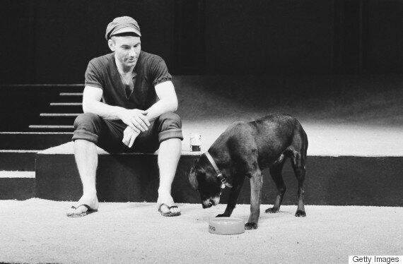 전문적이지만 조금은 이상한 직업 14가지