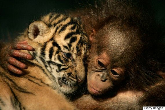 전문적이지만 조금은 이상한 직업 14가지
