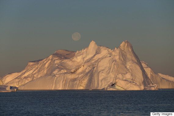 전문적이지만 조금은 이상한 직업 14가지