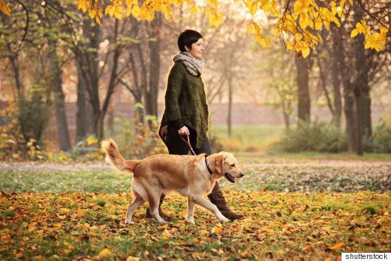 설탕 섭취를 천천히 줄이는 방법 5
