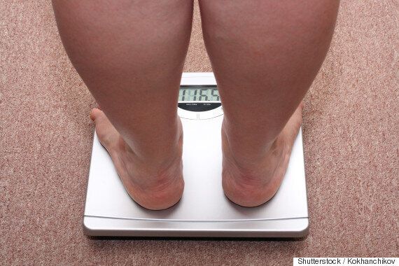 응! 나는 뚱뚱해! 그런데 왜 네가 불편해하니?