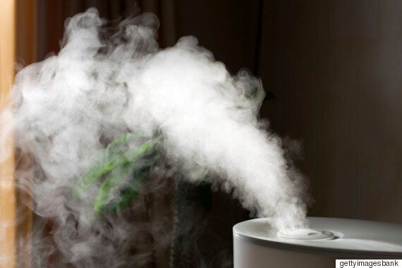 '옥시'는 가습기 살균제 '서울대 보고서'의 충격적 내용을 알고 있었다