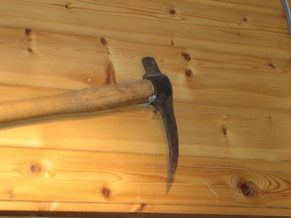 산 채로 피부가 벗겨지는 새끼 하프물범의 눈물